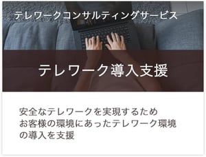 products_telework